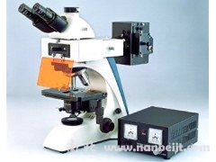BK-FL落射荧光显微镜