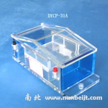 DYCP-31A琼脂糖电泳仪(槽)