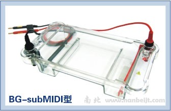 BG-subMIDI多用途水平电泳仪
