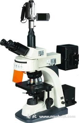 BM-21AYV摄像型落射荧光显微镜