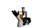 BM-38XA倒置荧光显微镜