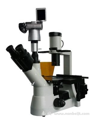 BM-38XAS数码倒置荧光显微镜