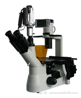 BM-38XAV摄像倒置荧光显微镜