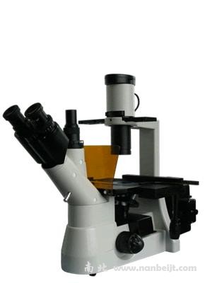 BM-38XB倒置荧光显微镜