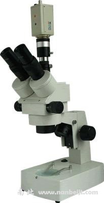 XTZ-EC连续变倍体视显微镜