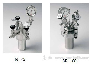 BR-25高压反应微量套装