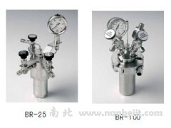 BR-25高压反应微量套装