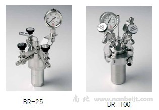 BR-100高压反应微量套装
