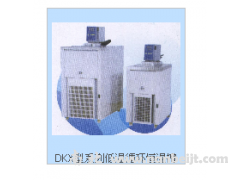 DKX-3006C低温循环恒温槽