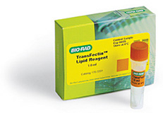 Bio-Rad伯乐 TransFectin脂质试剂