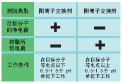 bio-rad伯乐 离子交换