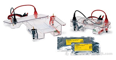 bio-rad伯乐 ReadyAgarose 预制胶系统