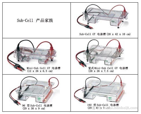 bio-rad伯乐 Sub-Cell系统