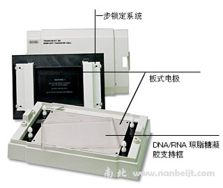 bio-rad伯乐 Trans-Blot SD 半干转印槽