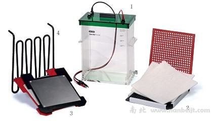 bio-rad伯乐 Trans-Blot Plus 转印槽