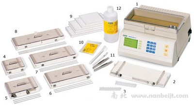 bio-rad伯乐 PROTEAN等电聚焦电泳仪