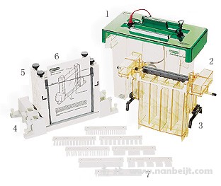 bio-rad伯乐 PROTEAN II xi 和XL 垂直电泳槽