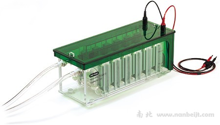 bio-rad伯乐 Mini-PROTEAN 3 Dodeca 小型高通量电泳槽