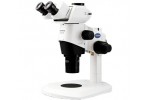 SZX16高研究体式显微镜