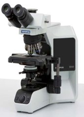 奥林巴斯 BX43研究生物显微镜