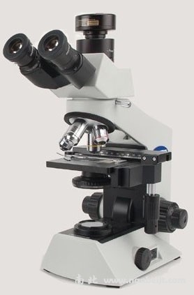 CX21TR三目生物显微镜
