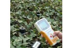 TZS-5X土壤温湿度记录仪/土壤墒情记录仪/土壤湿度速测仪