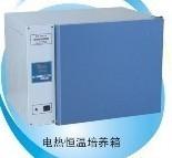 DHP-9012B电热恒温培养箱（出口型）