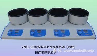 ZNCL-DL智能多联磁力搅拌电热套