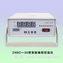 ZNBC-30智能编程控温仪