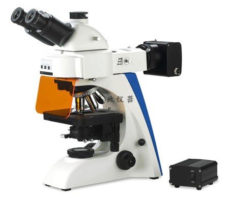 BK-FL荧光显微镜（LED灯光源）