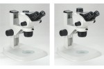 SZ680BP连续变倍体视显微镜
