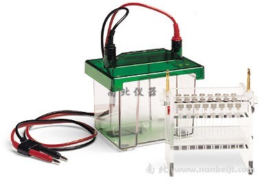 Bio-Rad伯乐 Mini-PROTEAN 2-D 电泳槽