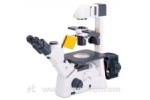 AE30/31+荧光显微镜