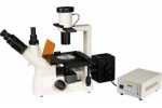 FM-403Y倒置荧光显微镜