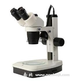 SM3-B24-S1定倍体视体式显微镜