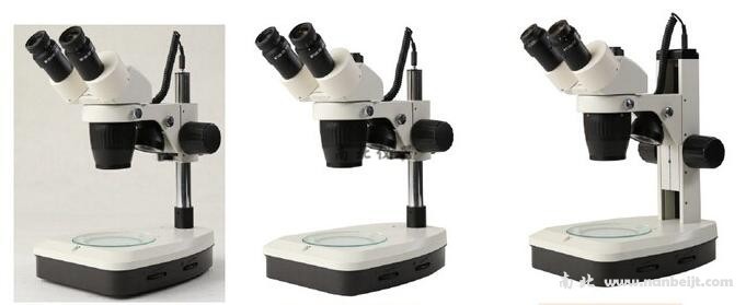 SM3-B24-L1定倍体视体式显微镜