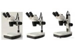 SM3-B24-L1定倍体视体式显微镜