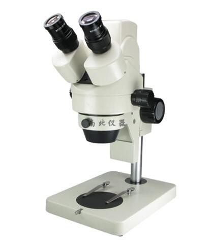 XTL-165-LD130U数码体视显微镜