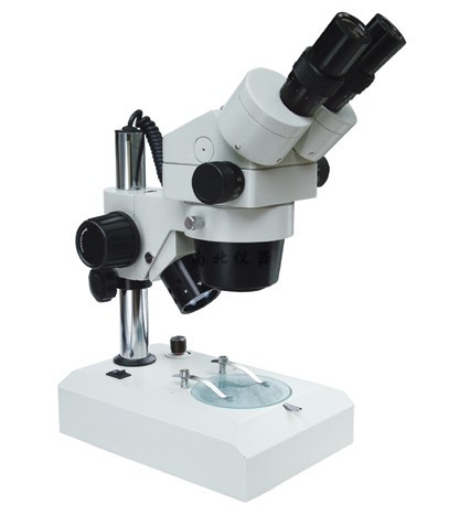 XTL-400连续变倍体视显微镜