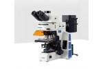 RX50研究荧光显微镜