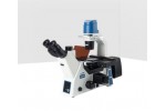 ICX41倒置荧光显微镜