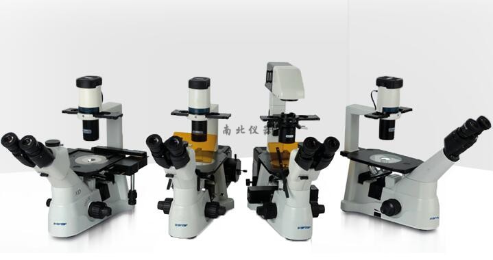 XD倒置生物显微镜