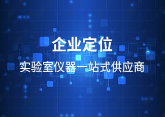 企业定位