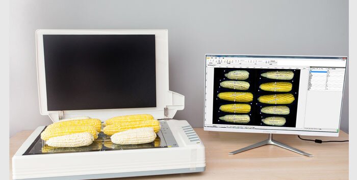 KZ-D玉米自动考种分析及千粒重仪
